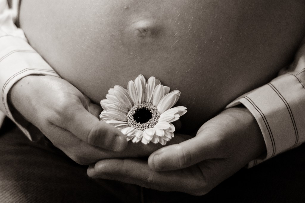 séance photo grossesse Villeréal dans le Lot-et Garonne proche de Villeneuve Sur Lot
